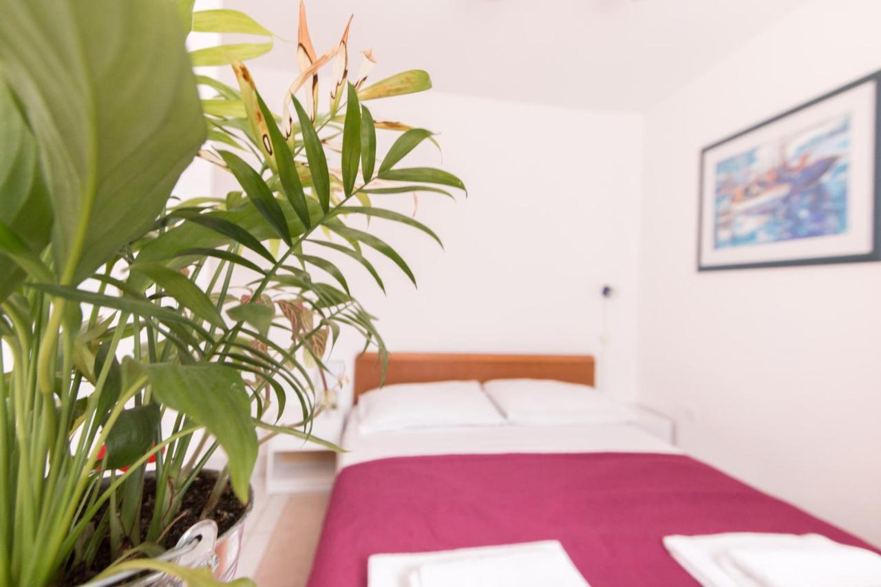 הוילה ויר Holiday House Tara מראה חיצוני תמונה